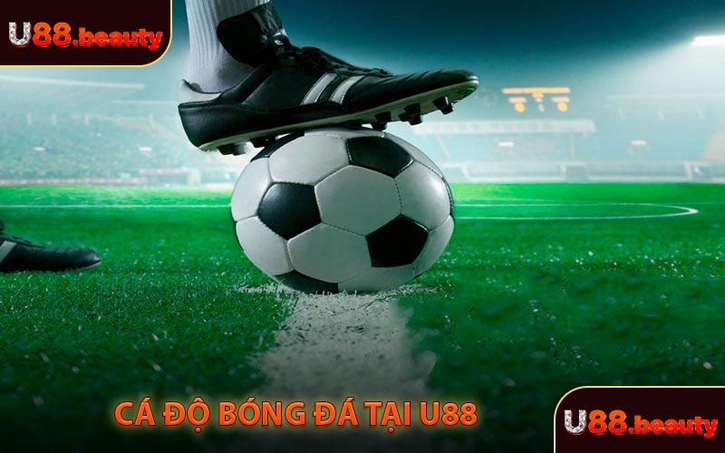 Cá độ bóng đá tại U88 