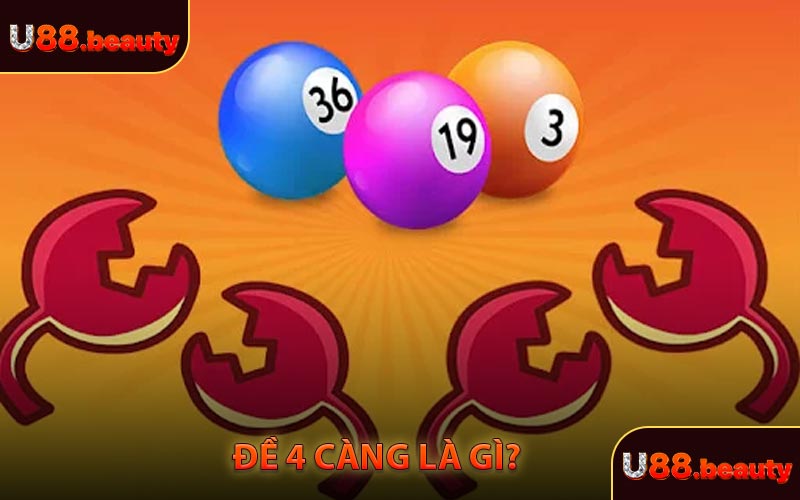 Đề 4 Càng Là Gì?